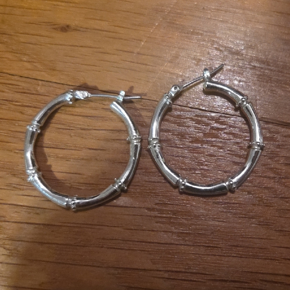 Silver Hoop Earrings